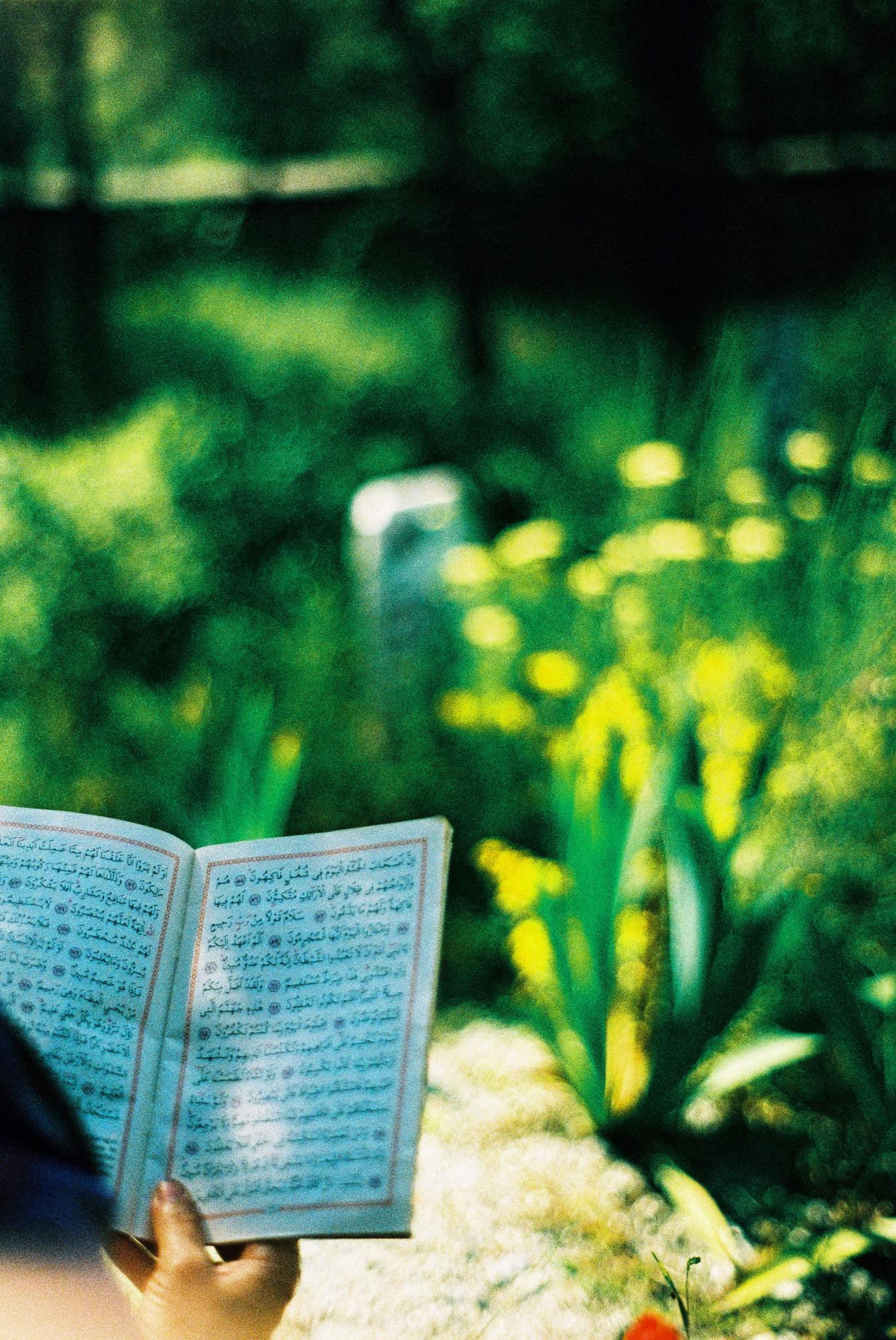 A person reading a book with Arabic text, surrounded by flowers in a sunny park.